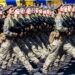 Усі до зброї: що не так з наказом Міноборони про військовий облік жінок