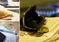 Українці заплатять абонплату за всю комуналку: окремо надійшли нові платіжки за кожну послугу