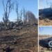 “Ласкаво просимо до пекла”: на Сумщині ЗСУ спалили колону окупантів. Фото