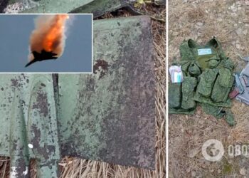 “Наші військові тримають небо над Україною”: ЗСУ знищили ворожий СУ-25 разом із пілотом. Фото
