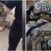 СБУ викрила агента РФ, який “зливав” ворогові позиції ЗСУ у Бахмуті. Відео