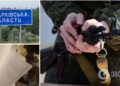 “Жодної паніки немає?” На Харківщині знайшли цілу пачку відмов окупантів від участі в бойових діях. Відео