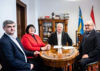 Депутатка Закарпатської обласної ради від КМКС виїжджає за кордон попри заборону