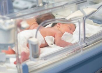 Живемо в “Матриці”: японські вчені близькі до створення штучно вирощеного ембріону