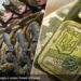 Мобілізація в Україні триває: які головні зміни чекають на українців у червні
