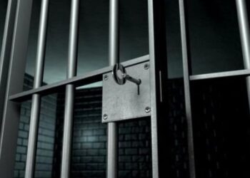 Начальника Держрибагентства на Закарпатті засудили до 7 років за ґратами