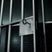 Начальника Держрибагентства на Закарпатті засудили до 7 років за ґратами