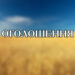 ОГОЛОШЕННЯ: ВІДБУДЕТЬСЯ ВРУЧЕННЯ ДИПЛОМІВ