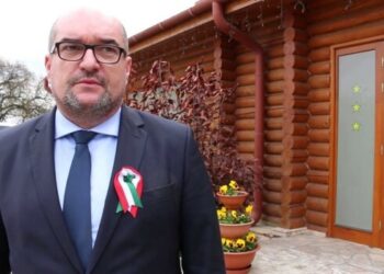 На Закарпатті політична сила угорців влазить в освітянський процес