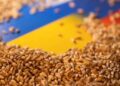 Імпорт зерна з України: Євросоюз дозволив, три країни — проти