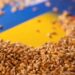 Імпорт зерна з України: Євросоюз дозволив, три країни — проти