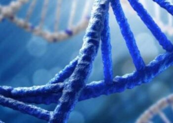 Цифри не брешуть. Учені виявили, що в еволюційну генетику закладена теорія чисел
