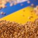 Експерти вважають, що Україні вже не потрібна зернова угода