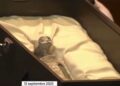 Публіці показали мумії “іншопланетян” із трьома пальцями: їхній вік щонайменше 1000 років