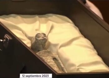 Публіці показали мумії “іншопланетян” із трьома пальцями: їхній вік щонайменше 1000 років