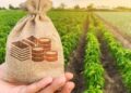В Україні введуть новий податок на землю