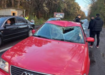 Поліція Берегівщини затримала водія, який на блокпосту скоїв наїзд на прикордонника