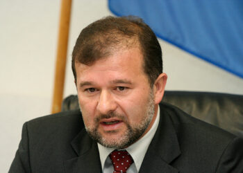 Син нардепа Балоги отримає у власність земельну ділянку у курортній зоні на Мукачівщині