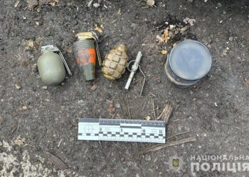 Мешканець Тячівщини намагався провезти на Закарпаття гранати