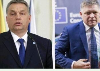 Угорські та словацькі громади Закарпаття звернулися до Орбана та Фіцо