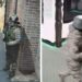 Рейд ТЦК на оздоровчий комплекс “Косино” — як відреагував заклад