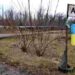 Повне знищення: п’ять батальйонів окупантів згоріли при спробі оточити Авдіївку