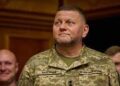 Залужний про Мар’їнку: Немає нічого резонансного у відході
