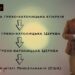 Угорці та словаки придушують спроби вірян Закарпаття об’єднатися з УГКЦ