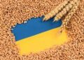 Заборона зерна з України може запровадити ЄС – що відомо та які наслідки