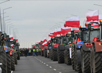 Європейські фермери влаштували протести на кордоні з Чехією