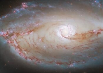 NASA запустить новий космічний телескоп для вивчення далеких галактик
