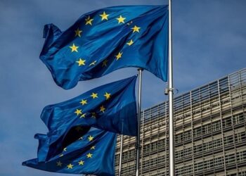 Угорщина блокує конфіскацію заморожених активів РФ – ЗМІ