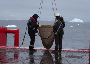 Україна і Польща розпочали спільні дослідження морського дна Антарктики