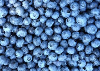 Ключем до довголіття виявилися всього кілька продуктів на сніданок