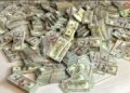 При обшуках викинула дві сумки з пів мільйоном доларів у вікно: ДБР затримало керівницю МСЕК