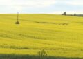 Більше жодних пільг: пенсіонерів змусять платити податок на землю