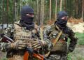 Командувач Сил ТрО отримав повноваження розформувати ДФТГ
