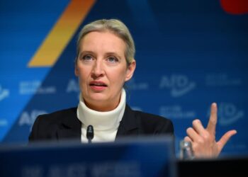 Німецькі університети йдуть з X після розмови Маска з лідеркою “АдН”