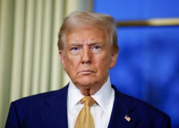 Трамп пригрозив Зеленському і заявив, що відновить угоду щодо рідкоземельних мінералів