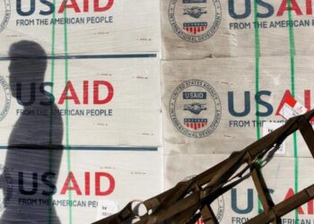 Маск назвав USAID злочинною організацією
