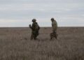 СЗЧ 2025. Як повернутися без кримінальної відповідальності – пояснення юристів і куди звертатися