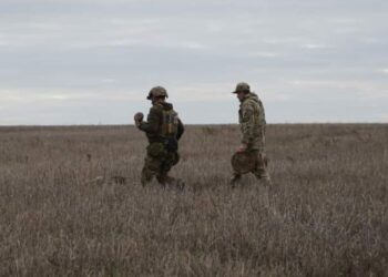 СЗЧ 2025. Як повернутися без кримінальної відповідальності – пояснення юристів і куди звертатися