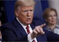 Трамп вимагає від Зеленського укласти договір про експорт карпатських лісів
