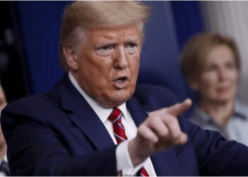 Трамп вимагає від Зеленського укласти договір про експорт карпатських лісів