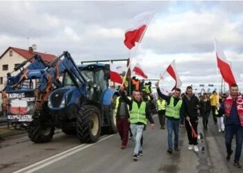 А тепер їм не вистачає. Поляки зазнають збитків через нестачу одного з українських товарів