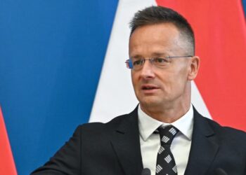 Сійярто заявив, що Угорщина виступатиме проти членства України в ЄС незалежно від позиції Росії