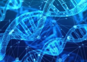 Вчені нарешті визначили географічну прабатьківщину всіх слов’янських народів