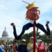 «Ні королям»: масові протести проти політики Дональда Трампа у США