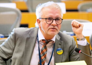 Галер: “Вступ України до ЄС не залежатиме від того, чи повернете ви всю територію, чи ні”
