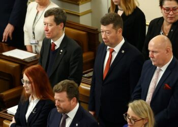Сімейна драма у парламенті: брат назвав Томіо Окамуру «загрозою для Чехії»